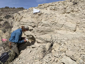 Chariot reclaims highly prospective US lithium ground