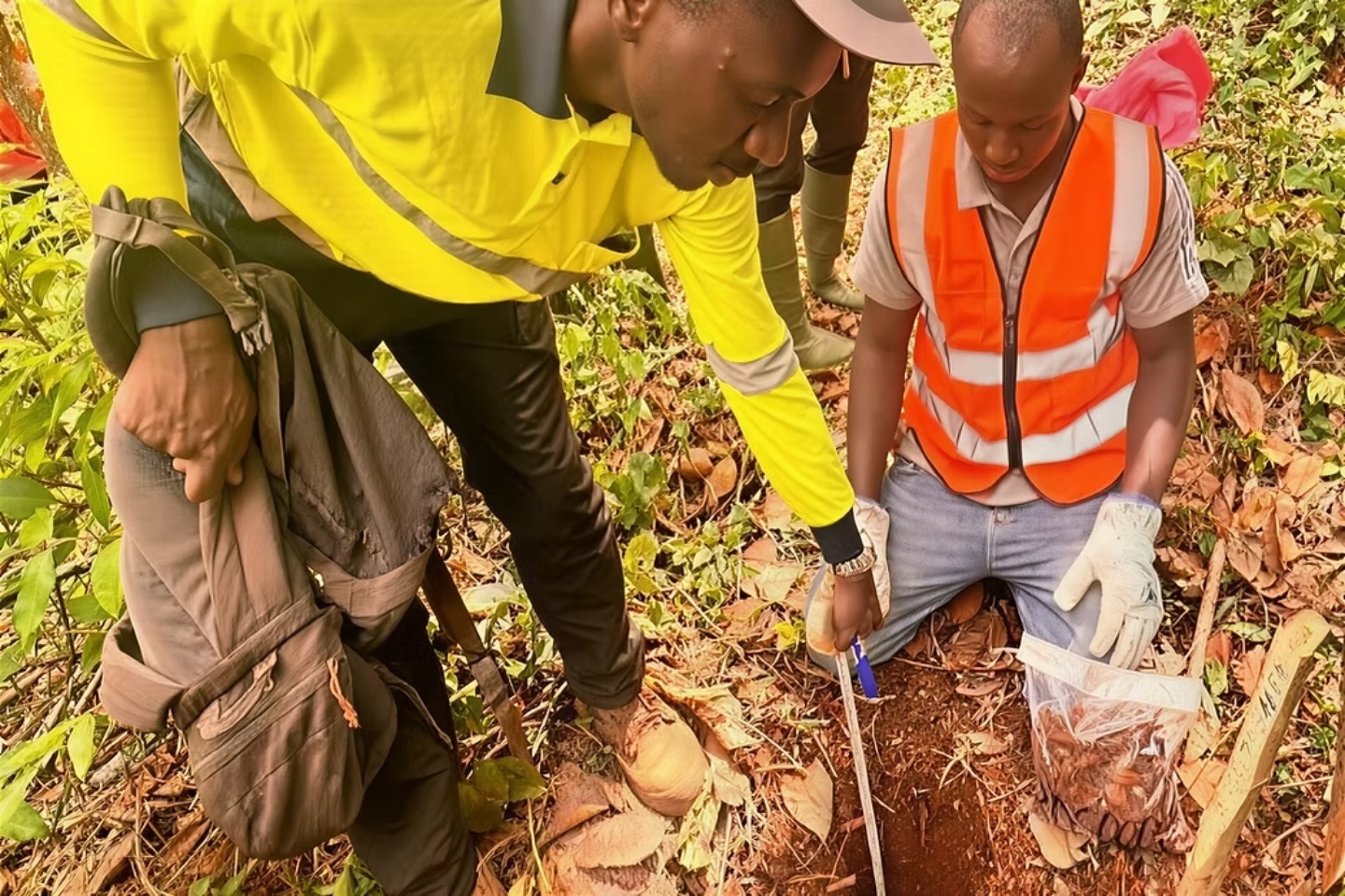Dalaroo hits high-grade gold in soils along 7km in West Africa