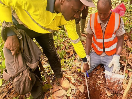 Dalaroo hits high-grade gold in soils along 7km in West Africa