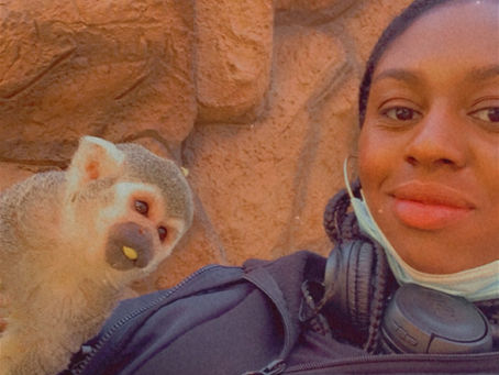 Monkey Park