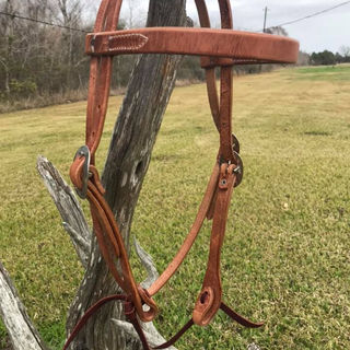 plain browband .jpeg
