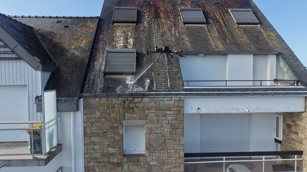Démoussage de toiture par drone - ALR Drones