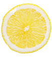 Quality photo of a slice of lemon on a w