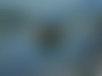 מה אפשר ללמוד על השיווק שלך מהבונה הקנדי