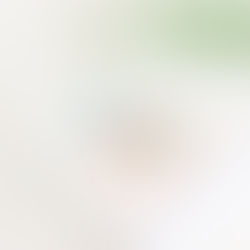 Amor & Gelato - A ordem de leitura desta série de livros de Jenna Evans Welch