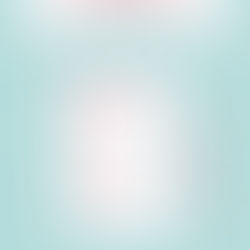 O que é um diário de leitura? + Diário literário grátis para baixar e imprimir