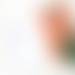 O que é a orelha do livro?