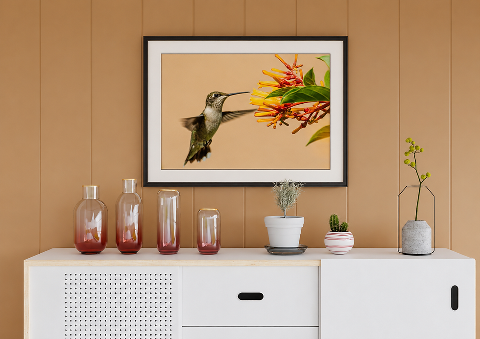 Ruby-throated Hummingbird with Red Flower and Blue Background.png
