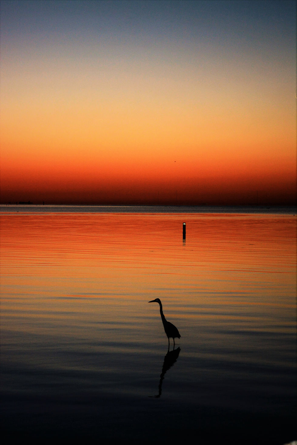 DSC_1545.JPG