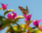 500_6030.jpg