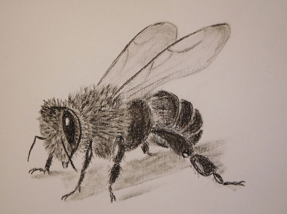 Abeille