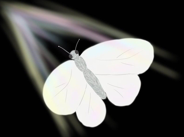 Papillon blanc