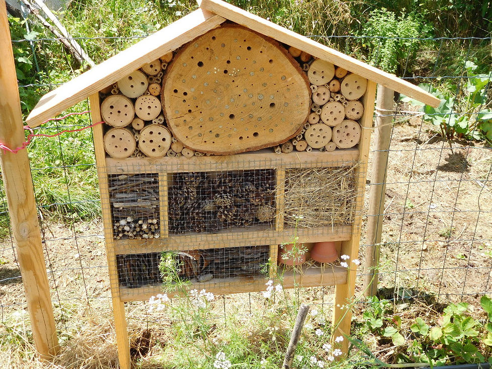 Hôtel à insectes