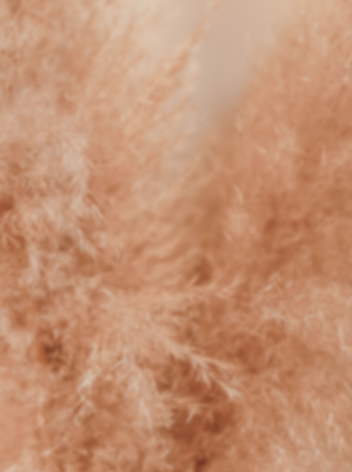 unsplash-A5DsRIdEKtk_edited.jpg
