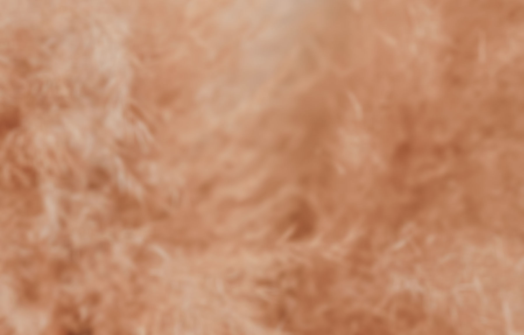 unsplash-A5DsRIdEKtk_edited.jpg