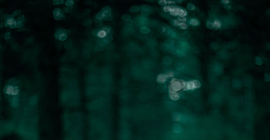Blurry Forest_edited.jpg
