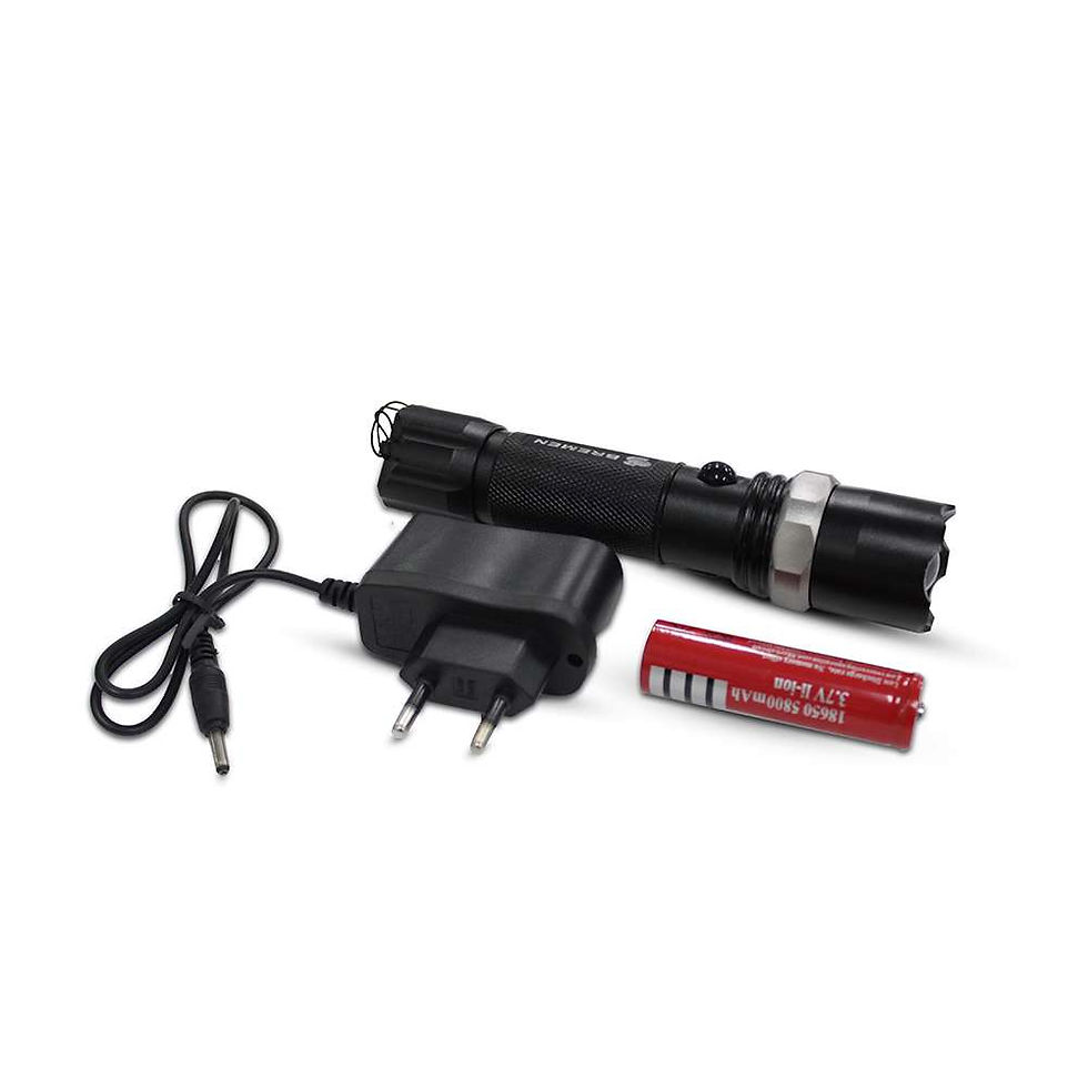 Miniatura: LANTERNA LED RECARREGÁVEL 110/220V  BREMEN