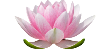 EOW Lotus_edited.png
