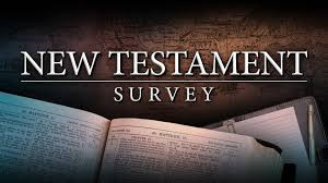 129. My Journey so far as an STM TEE student… 12. My twelfth module - New Testament Survey