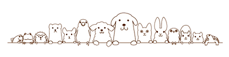 アニマル