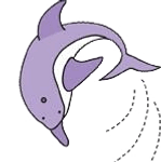 イルカ