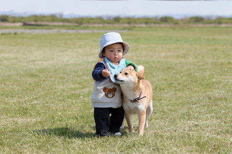 赤ちゃんと犬