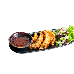 12. CHICKEN GYOZA 6Stk.