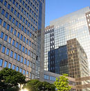 Business Insurance, South Haven