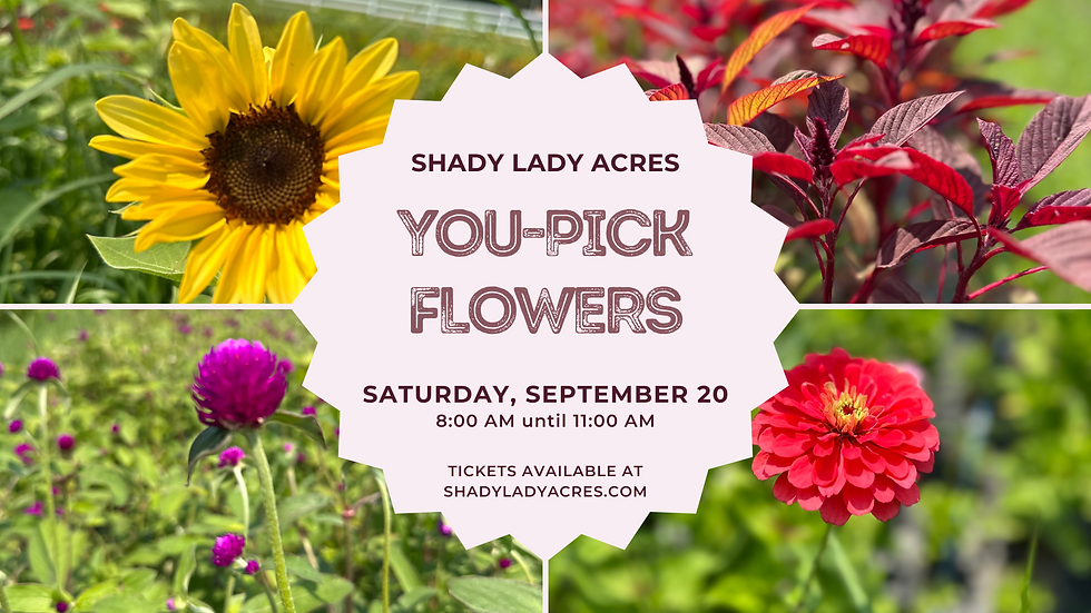 You-Pick Flowers (09/20)