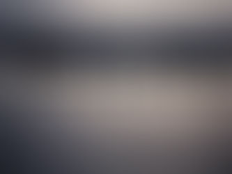 Rowers synchronise their strokes during an early morning training session on the tranquil Parramatta river