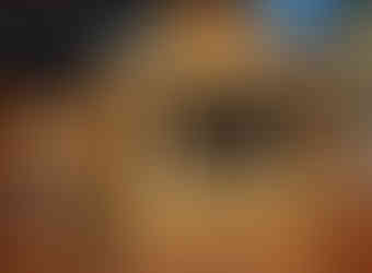 Fleig organ back view