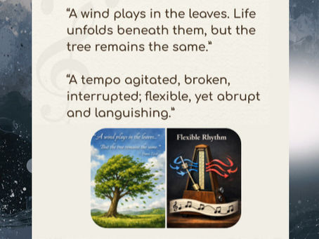 Chopin Rubato – Lecture Recital Series by Tiger Han