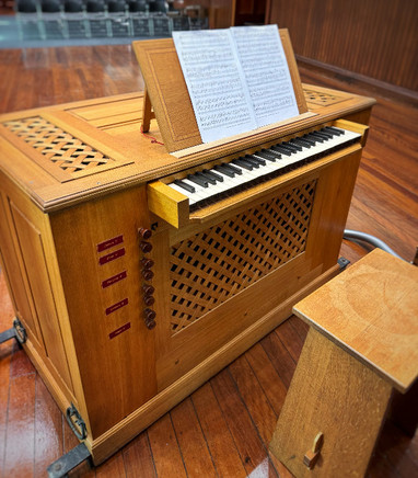 Fleig organ front view