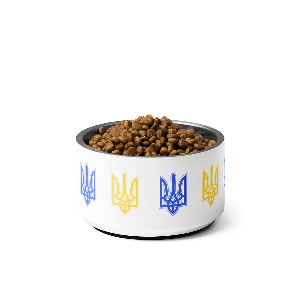Thumbnail: Tryzub Pet Bowl