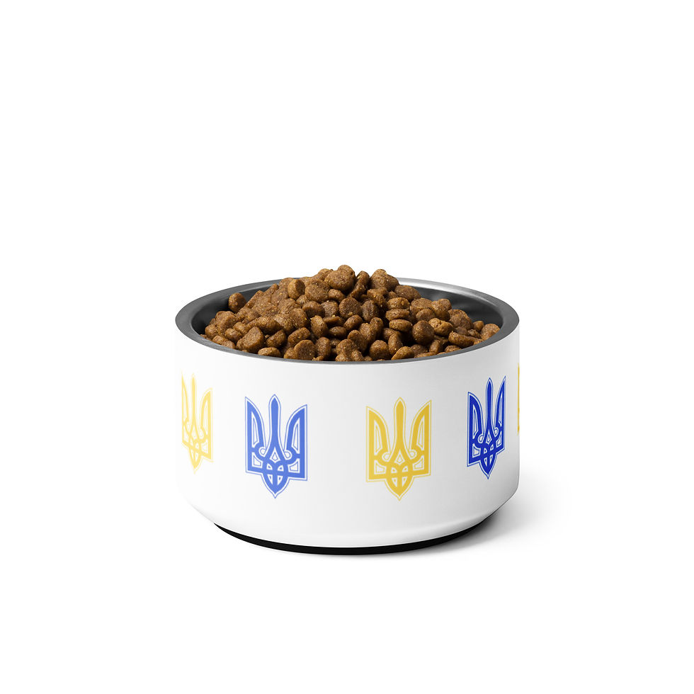 Thumbnail: Tryzub Pet Bowl