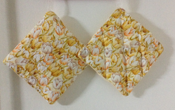 Oven mitts