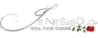 JNSQLogo.PNG