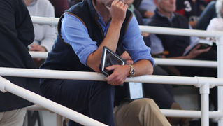 Bidding in Pyjamas