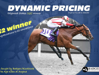 Dynamic Pricing wins the Edgewood Stakes