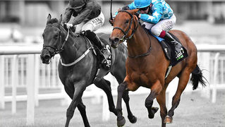 Zoetic wins the St Hugh's in fine style