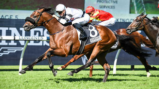 Fourth Stakes Win for Exceed And Excel's Signore Fox
