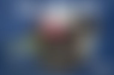 'Rising Star' The Big Con Takes Woodbine's Grey (G3)