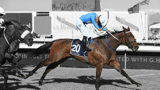 Oh Susanna is South Africa's Star