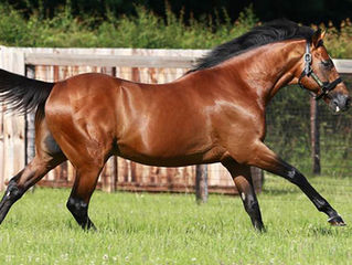 Badgers broker Champs Elysees Deal