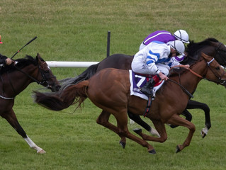 Unbeaten Stakes winner Ten Year Ticket sold to Hong Kong