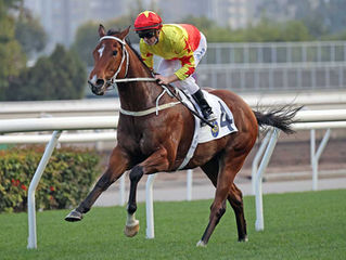 CALIFORNIA SPANGLE wins the HK Classic Cup (G1)