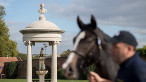 Yearling Season Under The Microscope
