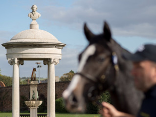 Yearling Season Under The Microscope