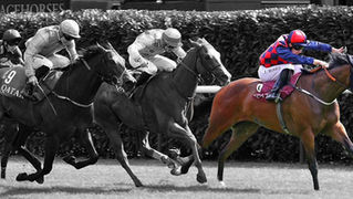 Lady Macapa wins the Prix du Petit Couvert (G3)