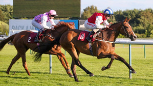 West End Girl Tops Tattersalls Online Auction